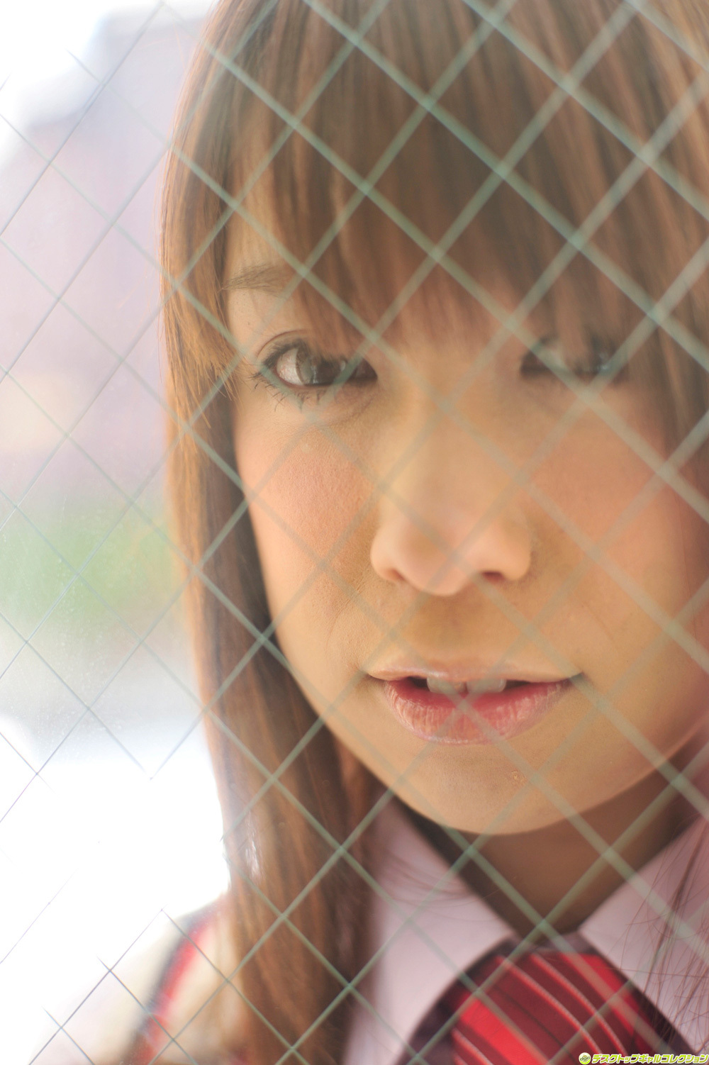 真亜也 Maaya [DGC]2011年06月號 制服美少女天國 No.955